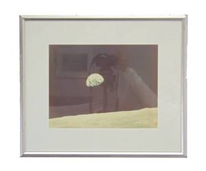 lot 45 image: Framed Print of Earth