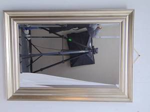 lot 256 image: POTTERY BARN Silver Leaf Rectangular Mirror 30 X 42