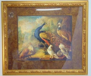 lot 28 image: Peacock Print Framed