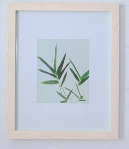 lot 186 image: Bamboo Leaves Framed Print