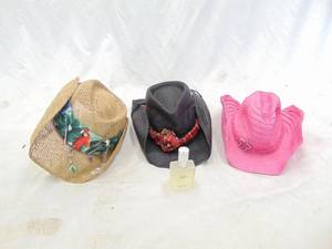 lot 146 image: Lot of 3 Hats - Perfect for Sunny Days Ahead