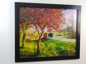lot 359 image: Framed Original Photograph by Jeffrey R. Henry