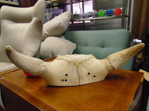 lot 545 image: Cow Skull with Horns