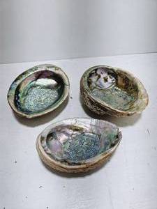 lot 266 image: 3 Large Abalone Shells