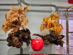 lot 100 image: Pair of Bural Wood Roots Topped with Golden Leaves- Felt Pads on Bottom to Protect Against Scratches