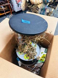 lot 613 image: AeroGarden