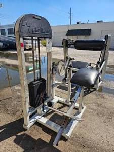 lot 3 image: PROMAXIMA P-128 Low Back Machine