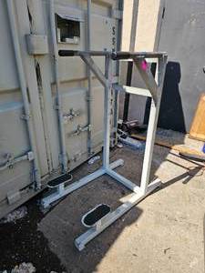 lot 11 image: Dip Station Promaxima